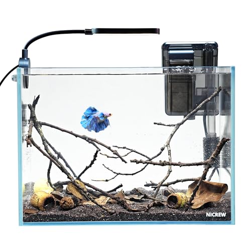 NICREW 2.5 Gallon Nano Nature Aquarium Kit, Ultra-Clear Rimless Desktop Fish Tank with Light and Filter, Perfect for Small Fish, Shrimp, or Betta, Basic Version, Clear - color: Clear