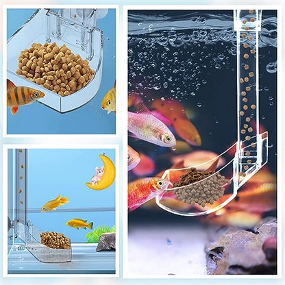 Aquarium Fish Shrimp Feeding Dish Set Clear Fish Feeder Tube and Dish with Cleaning Brush and Measuring Spoon for Feeding Shrimp and Preventing Food Scattering Feeding Supplies for Shrimp Large - size: Large