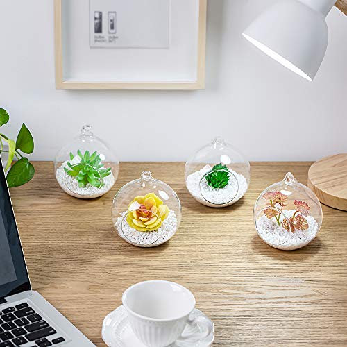 NUPTIO Hanging Glass Terrarium Planters, 4 Pcs, 4 Inch | Clear Round Globes, for Succulents, Air Plants, Votives, DIY Gifts, Window or Garden Decor - size: 4" / 10cm