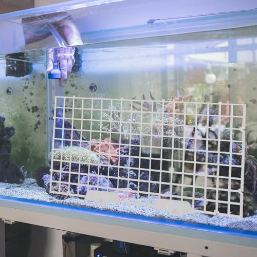 6pcs Aquarium Fish Tank Divider Isolation Board with Filter Tray, 30x15cm White Egg Crate Panel for Fish Breeding and Tank Separation