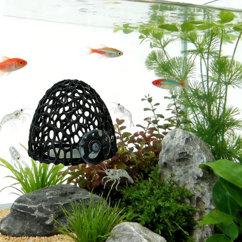 Shrimp Cave with Suction Cup | Stable Resting Hiding Place for Cherry & Dwarf Shrimp, Guppy, Small Fish (black) - color: black
