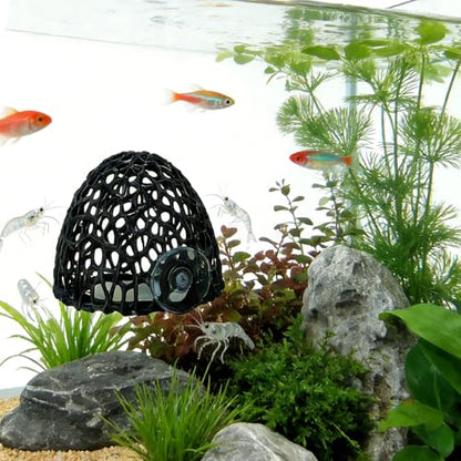 Shrimp Cave with Suction Cup | Stable Resting Hiding Place for Cherry & Dwarf Shrimp, Guppy, Small Fish (black) - color: black