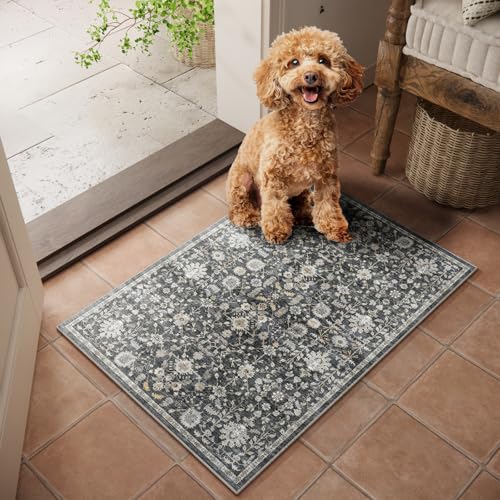 Washable Small Area Rugs for Entryway: 2x3 Door Mat Indoor Entrance - color: Black/Gold/Multi, size: 2' x 3' (Rectangular)