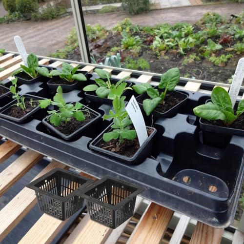 Yardwe 10Pcs Square Planting Baskets 2.24X2.24X1.45In Plastic Aquatic Plant Basket Mesh Pots for Aquarium Hydroponics and Aquaponics Gardening - size: 10PCS