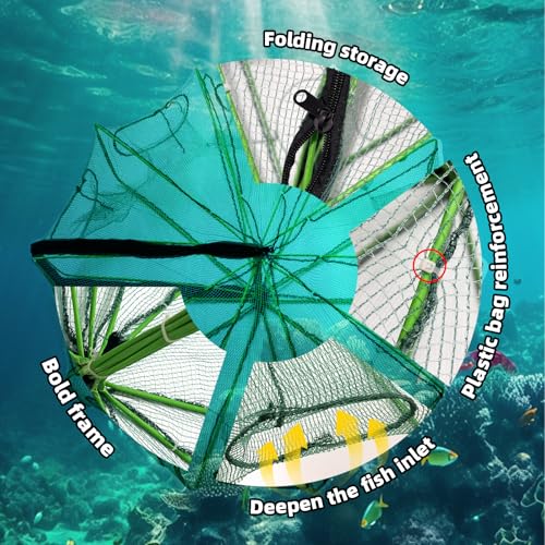 2 Pcs 32 x 10 Inch Collapsible Crab Trap 10 Holes 10 Sides Foldable Fishing Nets with 2 Rope for Minnows Fishing Crawfish Crab Lobster Shrimp