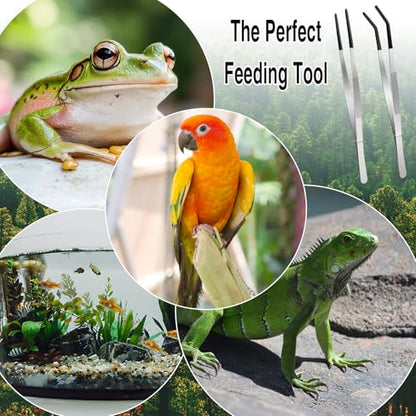 Extra Long Feeding Tongs with Rubber Cover Tips,2PCS 11.8" Stainless Steel Long Tweezers for Fish Tank,Terrarium,Reptile, Bearded Dragon(Straight and Curved Tweezers） (Silver, 11.8inch)