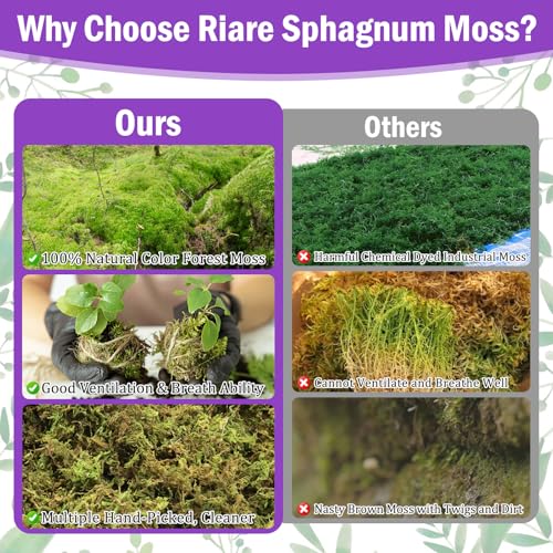 Riare 3.3LB Premium Sphagnum Moss for Plants- 60QT Natural Dried Plant Moss - size: 60 QT(Appx.3.3lbs)