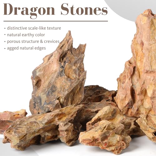 2.2-4.1 Inches Natural Dragon Stone, 10 PCS Small Aquarium Rocks for Aquascaping, Nano Tanks, Terrariums, Reptile Tanks & Aquarium Décor - size: 2.2-4.1 in