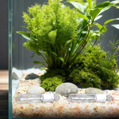 DQITJ 2 Pack Planaria Catch Trap Aquarium Clear Glass Leech Flatworm Bristle Worm Trap Tube Catcher for Red Cherry Shrimp Dwarf Shrimp Tank (1 Holes+3 Holes)