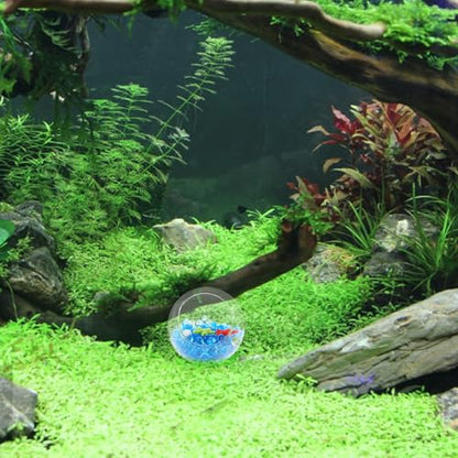 Fish Tank Ornament Aquarium Glass Shrimp Hideout Cave with Frosted Blue Glass Pebbles 50g and Red Decorations for Aquarium Landscaping and Shrimp Shelter