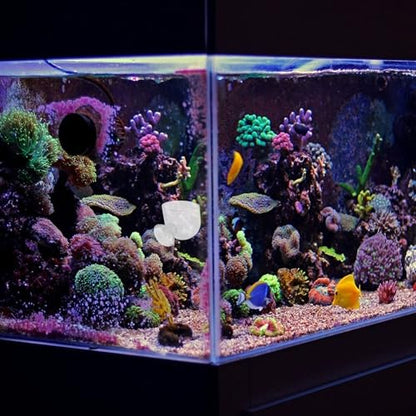 NUOBESTY 2pcs Aquarium Feeder Cup Fish Food Container Worm Holder Acrylic Fish Tank Feeding Device with Suction Cup for Freshwater and Saltwater