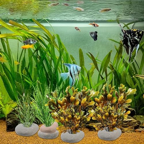 6 Pcs Natural River Stone Plant Weights for Aquarium, Pebble Aquatic Plants Fixed Ring, Aquarium Plant Anchors, Unique Shape & Size for Aquarium Landscape Decoration (0.79'' Hole Diameter)