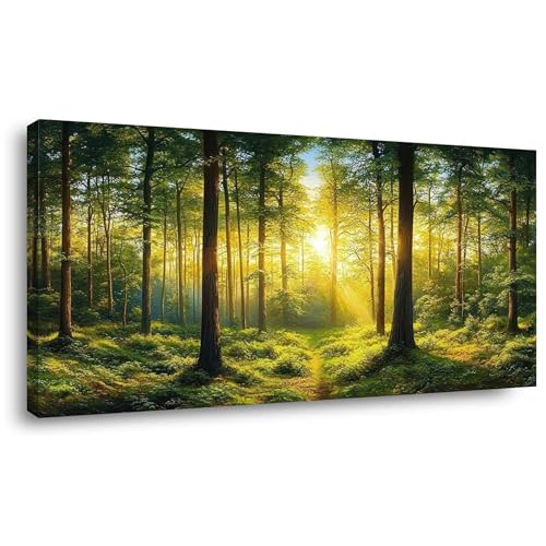 Palderwallart Beautiful Woods Forest Landscape Wall Art for Living Room Office Tree Nature Scenery Green Painting Prints Summer Sunrise Scenic Canvas Artwork Over the Couch Dining (20x40 Inches) - color: Green Forest Wall Art (Y860), size: 40"L x 20"W