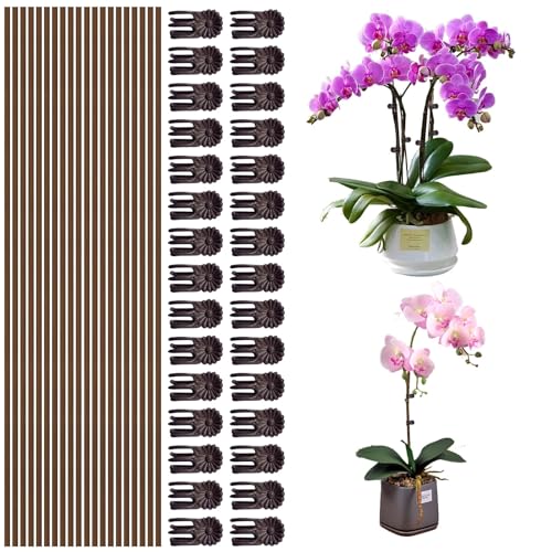 50Pcs Plant Stake and Clips Set, Adjustable Bendable Garden Stakes for Tall Plants | Durable Plant Sticks for Pots, Flowers, Vines | Indoor & Outdoor Use | Brown Gardening Supplies - color: 50Pcs/brown