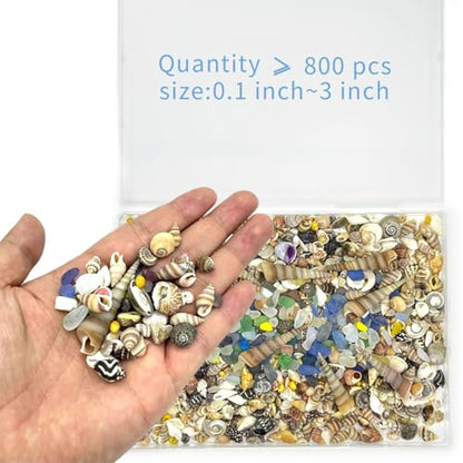 900 Pcs Sea Shells for Crafting,0.11-2.7in Mixed Mini Seashells with Sea Glass for Decorating,Small Shells for Craft,Beach Themed Party Wedding,Fish Tank Vase Filler (900pcs)