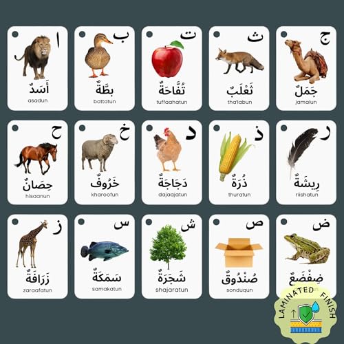 Arabic Alphabet Flash Cards for Kids Toddler and Adults, Arabic First Words, Letter Recognition, Homeschool Learning, Arabic Teacher