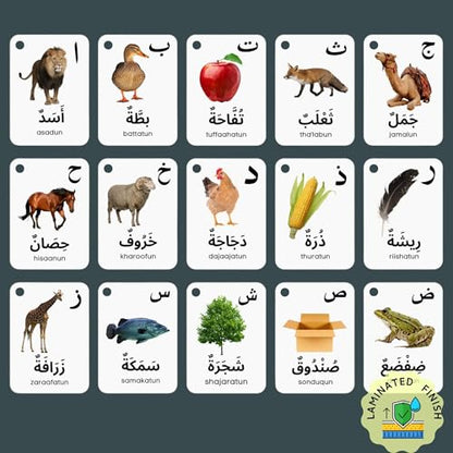 Arabic Alphabet Flash Cards for Kids Toddler and Adults, Arabic First Words, Letter Recognition, Homeschool Learning, Arabic Teacher