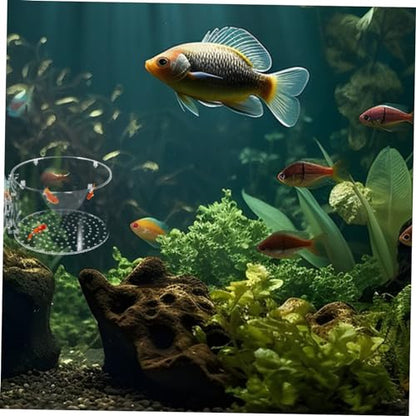 Fish Breeding Box for Aquarium Isolation Chamber Floating Cover Nursery Tank Accessory for Fish Hatchery and Observation