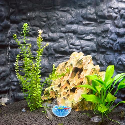 Fish Tank Ornament Aquarium Glass Shrimp Hideout Cave with Frosted Blue Glass Pebbles 50g and Red Decorations for Aquarium Landscaping and Shrimp Shelter