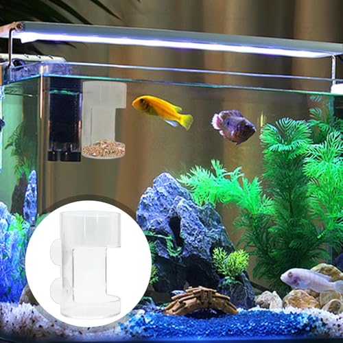 Betta Fish Feeder - Fish Feeding Tube, Clear Feeding Tube Shrimp Feeder | Shrimp Feeding Dish, Betta Feeder with Suction Cup, Transparent Aquarium Feeder Bird Feeder, Fish Tank Accessories for Fish - size: round