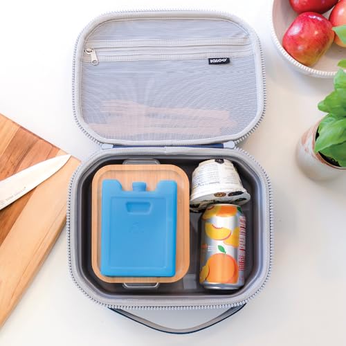 Igloo Maxcold Ice Block - color: 4pk small
