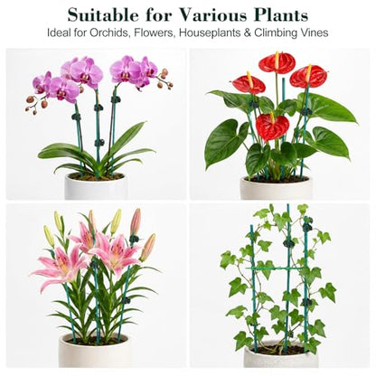 Jetec 110 Pcs 15 Inch Plant Support Kit for Small Orchids, Stakes, Clips | 30 Bamboo Stakes, 50 Reusable Clips, 30 Ties, Gentle Stem Support, Blends with Plants, for Small Orchids and Potted Flowers