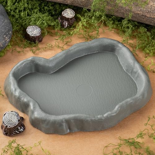 Snail Food and Water Bowl Terrarium Feeding Dish for Tank Supplies