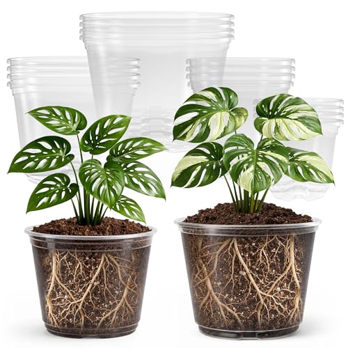 Bluepro Clear Nursery Pots with Drainage Holes, 5/6/8/10 Inch, 16-Pack | Clear PET, 4 Each of Four Large Sizes, Root and Moisture Visibility, Flexible, Reusable, Repotting and Plant Care - size: 5/6/8/10 Inch-16Pcs