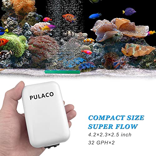 Dual Outlet Aquarium Air Pump, Quiet Oxygen Pump with Accessories for 10 to 100 Gallon