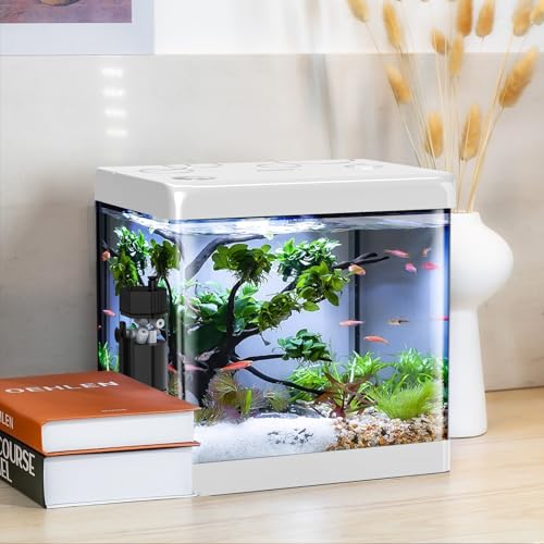 Small Fish Tank,5 Gallon Glass Aquarium Betta Fish Tank Starter Kit with Filter and LED Light.（White） - color: White, size: 5 Gallon
