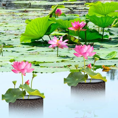 EBaokuup 4 Pcs Aquatic Pond Planting Bags-7.1" H x 7.2" Dia Reusable Mesh Water Garden Pond Plant Pot-Breathable Black Round Lily Plant Pots for Pond Bog Plant Garden Terrestrial Plant - color: Black, size: Round