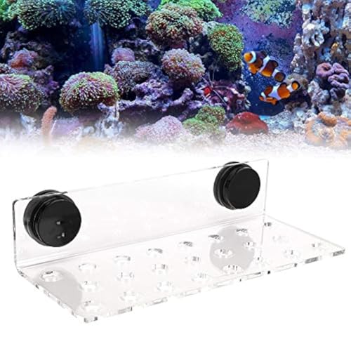 Acrylic Magnetic Frag Holder, Safe 23 Hole Rack Secure Wall Mount Support for Fish Aquarium Clear Acrylic 15mm Glass High Capacity
