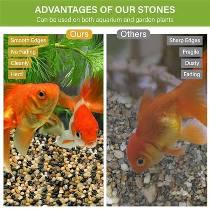 NUPICK 3 lb Aquarium Gravel, 1/4" Ph-Natural Pea Gravel for Fish Tank | Small River Rocks for Plants, Decorative Aquarium Pebbles for Vase, Landscaping, Succulent, Cactus, Terrarium, Bird Bath - size: 3 lb