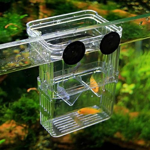 Generic Aquarium Fish Breeding Box, Acrylic Guppy Breeding Tank Hatchery Incubator, Transparent Isolation Box, 10*8*7cm/3.93*3.15*2.75inch