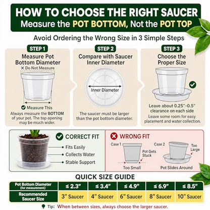 FUIJOL 6 Pack Clear Plant Saucer, Durable Plant Drip Trays Saucers for Pots, No Holes Water Catcher Trays for Indoor Outdoor Planter, Sturdy Base Plate(8", Clear) - size: 8"-6Pack