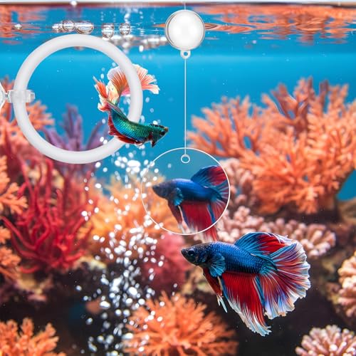 2 PCS Betta Fish Exercise Ring, 2 Exercise Training Ring and 1 Fish Mirror with Balls Betta Enrichment Toys with Suction Cup for Small Medium Fishes Bettas Aquarium, White