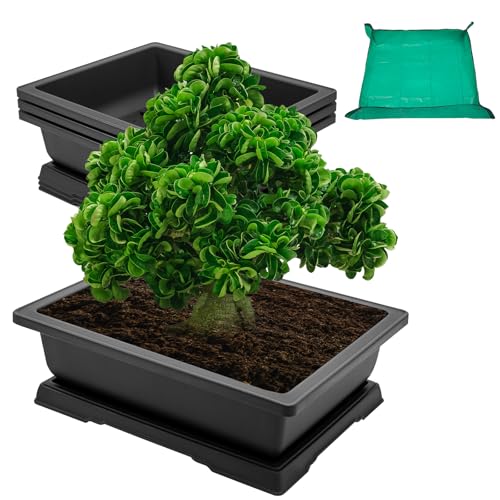 GROWNEER Large Bonsai Training Pots 3 Packs 14 Inch with Drainage Humidity Trays & Repotting Mat, Bonsai Tree Pot Starter Kits, Growing Rectangle Planter for Garden Yard Office Indoor Outdoor - size: 3pcs/14x10.3in