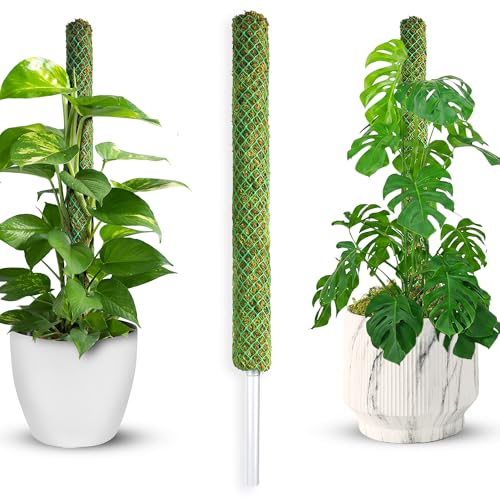 1 Pack 22" Pre-Made Green Stackable Mesh Moss Pole for Plants | Easy To Set Up, Natural Forest Moss Pole Monstera Plant Support, Moss Stick for Climbing Plants & Indoor Plant Stakes - color: 1pc Green