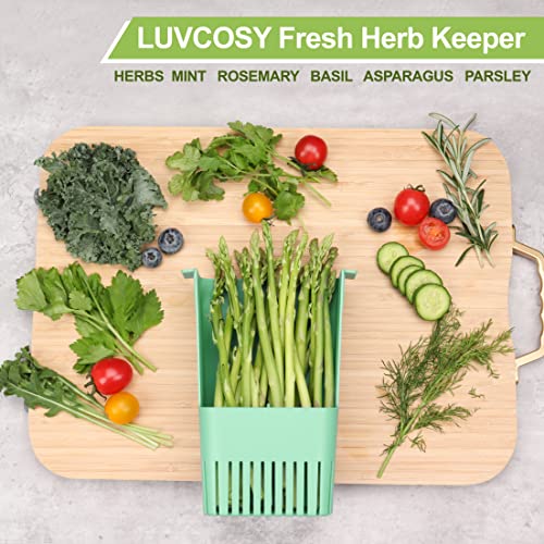 LUVCOSY 2 Pack Herb Keeper, BPA-Free Plastic Herb Saver with an Inner Basket for Cilantro, Mint, Parsley, and Asparagus, Keeps Fresh Herbs for 3 Times Longer - color: Herb Keeper - Green & Blue