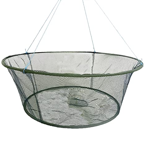 Foldable Fishing net Hand cast net, Shrimp net Crab net Fishing net Crayfish Hand cast cage - size: Top:31.5in/Bottom:23.6"