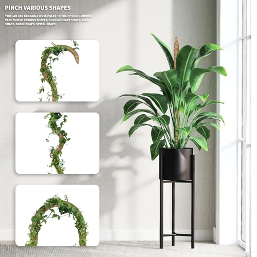 28" Bendable Plant Support Moss Pole 3 Pack for Climbing | Bendable Coco Coir,20FT Jute Rope Included,For Monstera,Pothos,Philodendron,Indoor Plant Support, Climbing & Training