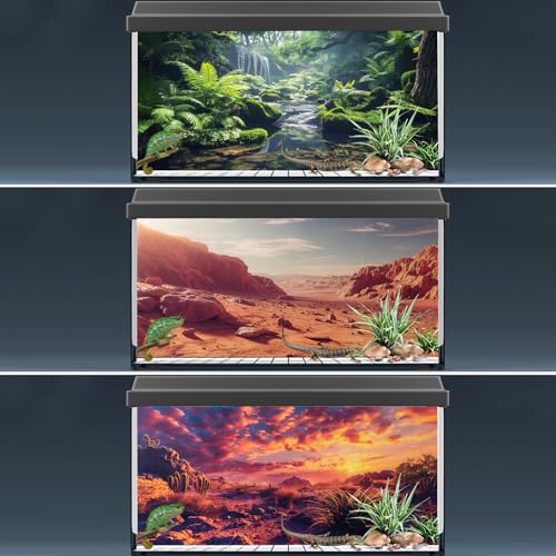 3 Pack Terrarium Background, 48x24 inches Polyester Reptile Backgrounds, Cloth Terrarium Background, Gobi Sunshine Cactus Stone & Green Tree Fern Stream Backgrounds - size: 48x24 Inch