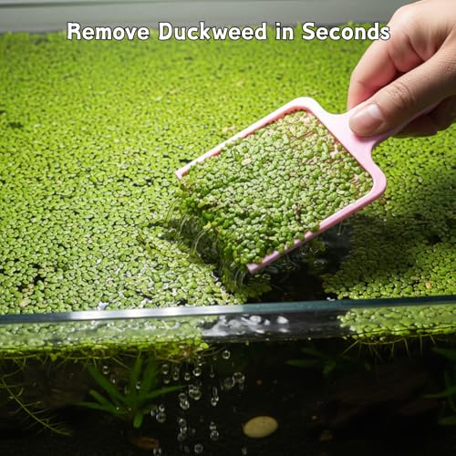 Duckweed Remover Tool for Aquarium, Floating Plant Skimmer | Aquarium & Pond Skimmer Tool for Duckweed, Salvinia and Water Lettuce Removal, Durable Plastic Plant Remover (Pink) - color: Pink