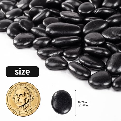 10lb Black River Rock, Suitable for Aquarium Gravel, vase Decorative Stone, Plant Rock, Rock for houseplants