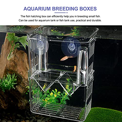 balacoo 1pc Aquarium Breeding Box Cups Isolation Incubator for Fish and Shrimp Easy Installation Water Material for Optimal Fish Survival