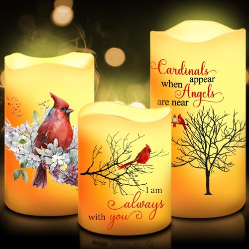 Tujoe 3 Pcs Memorial Candles Sympathy Gifts Cardinal Flameless Candles Christmas Sympathy LED Battery Operated Lights Memorial Gift for Loss of Mom, Father, Remembrance - style: Cardinal