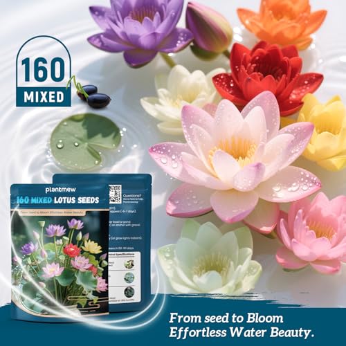 Lotus Seeds for Planting in Water – 160 PCS Mixed Bowl Lotus Seeds, Water Lily & Water Plants for Ponds, Live Pond Plants for Outdoor Ponds, Floating Pond Plants – Indoor Bonsai, Garden, Koi Pond - size: 160pcs Bowl Lotus Seeds for Panting