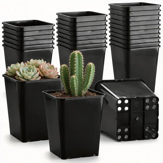 Nursery Pots 6 Inch 40 Pcs, Plastic Seed Starting Pot with Drainage Holes, Sturdy Seedling pots for Planting, Cuttings (Black) - color: Black, size: 6 Inch-40P