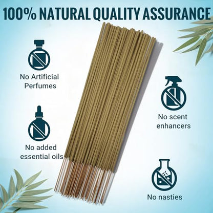 Eucalyptus Incense Sticks (50 Sticks), 100% Natural sustainably harvested Eucalyptus, Suitable for Yoga, Meditation, Relaxation, and Spiritual Purification - color: Eucalyptus