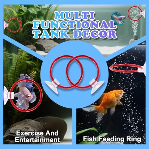 Betta Fish Toys, 2 PCS Fish Exercise Ring and Nitrifying Balls Set, Betta Mirror Toy Set, Feeding Ring with Suction Cup, Fishing Tank Accessories for Gifts (Red) - color: Red